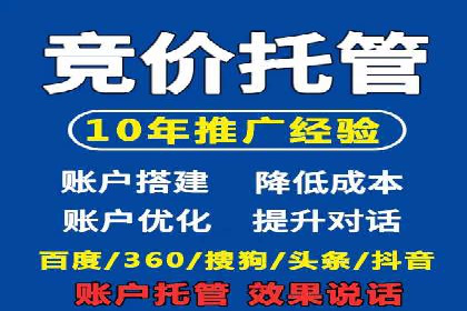 SEM代运营服务公司案例分析：数据驱动营销策略
